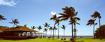 Kahekili Beach Park Maui 8 - Kahekili Beach Park: Should You Check Out Airport Beach?