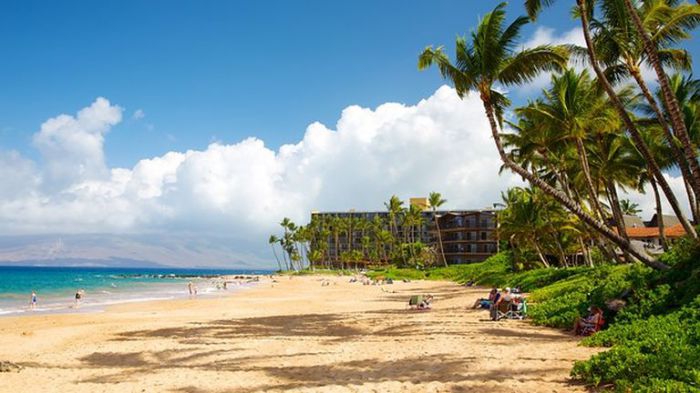 Keawakapu Beach Maui 59 - Keawakapu Beach: Learn the Secrets of One of Maui's Most Beautiful Beaches