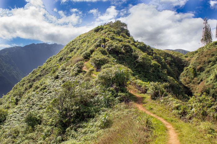 Getting close to the end of the Waihe'e Ridge Trail hike. There are several inclines you'll have to hike up. Be careful, but they aren't as bad as you might think if you take your time.