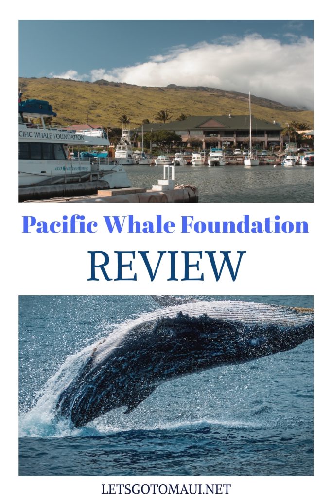 Pacific Whale Foundation Review 683x1024 - Pacific Whale Foundation Review: Read This BEFORE You Go