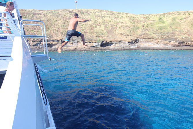 maui whale watching calypso jump viator - Best Maui Whale Watching Tours: The ULTIMATE Guide for Whales in Maui!