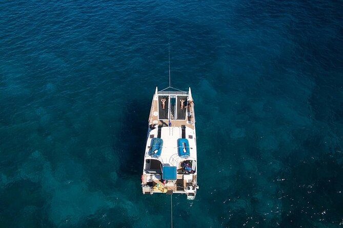 maui whale watching malolo overhead aerial viator - Best Maui Whale Watching Tours: The ULTIMATE Guide for Whales in Maui!