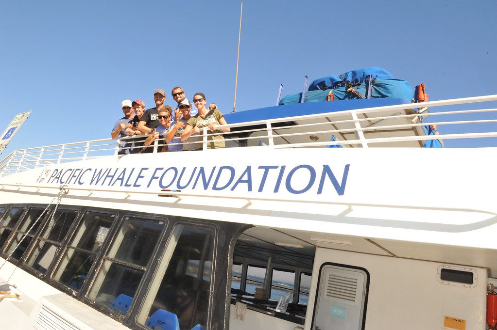 maui whale watching pacific whale foundation crew - Best Maui Whale Watching Tours: The ULTIMATE Guide for Whales in Maui!