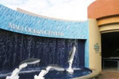 Maui_Ocean_Center-025416