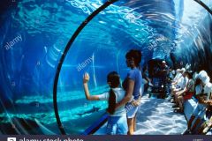 Maui_Ocean_Center-025425