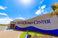 Maui_Ocean_Center-025431