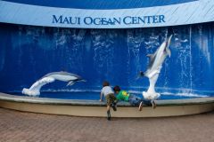 Maui_Ocean_Center-025433