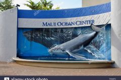 Maui_Ocean_Center-025436