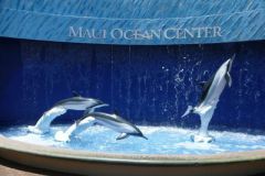 Maui_Ocean_Center-025444