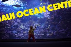 Maui_Ocean_Center-025447