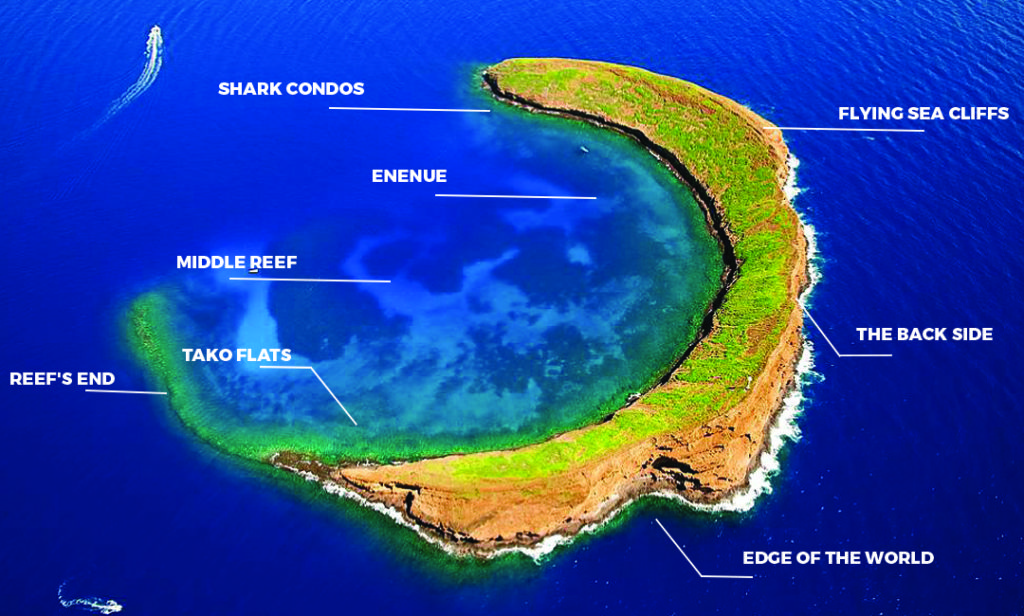 Molokini Crater Maui 057