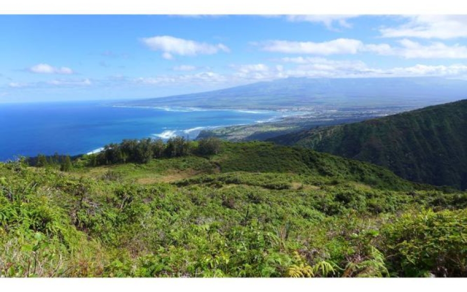 Waihee Ridge Trail - What You NEED to Know Before this Hike!