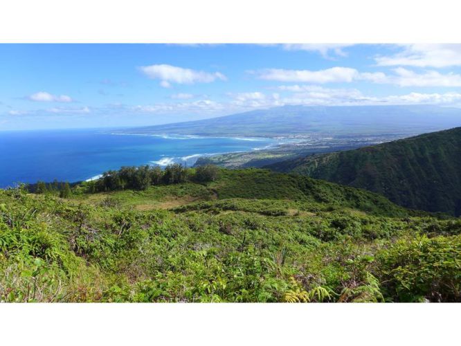 Waihee Ridge Trail - What You NEED to Know Before this Hike!