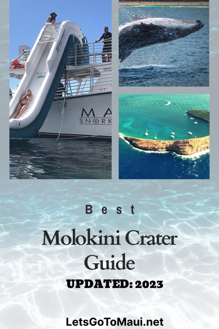 The 1 Best Molokini Crater Guide Updated 2023 Lets Go To Maui