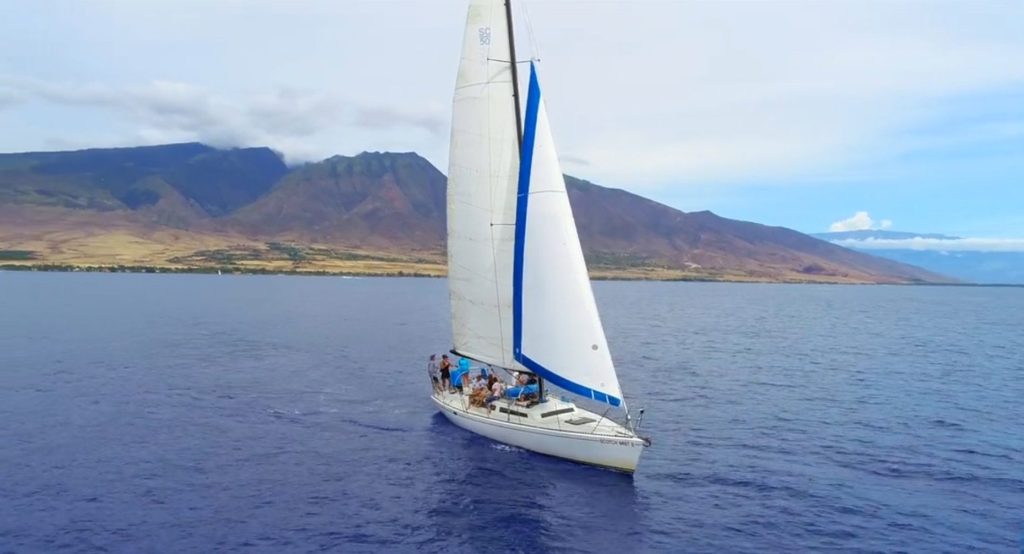 maui whale watching scotch mist aerial 1024x554 - Best Maui Whale Watching Tours: The ULTIMATE Guide for Whales in Maui!