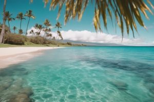 discover maui s stunning beaches